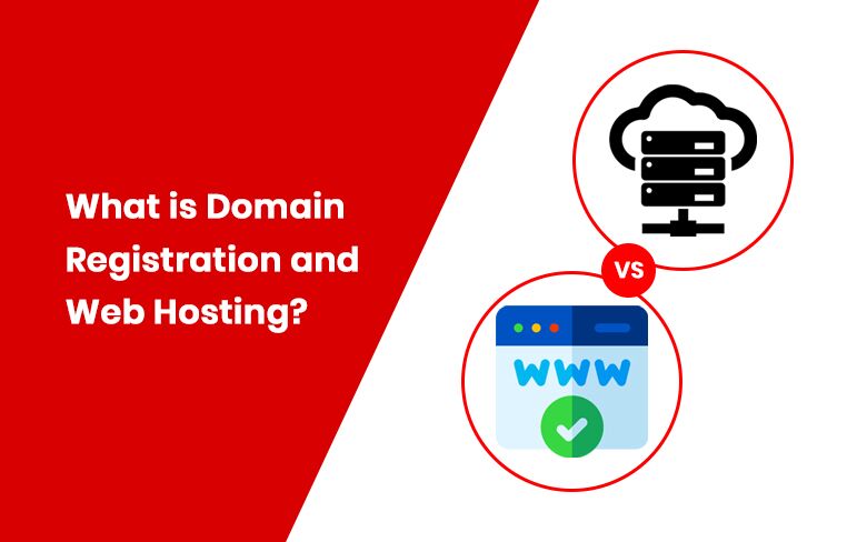 how to check domain registration details